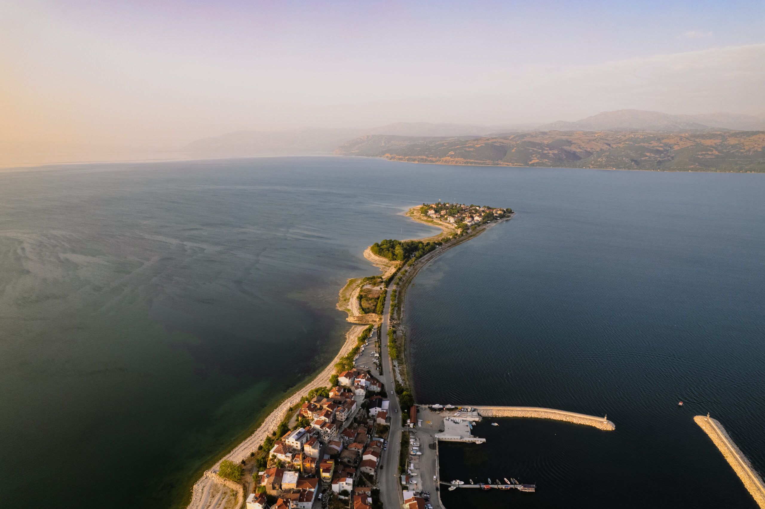 «Тираннозавр секс» фильмін көріңіз.